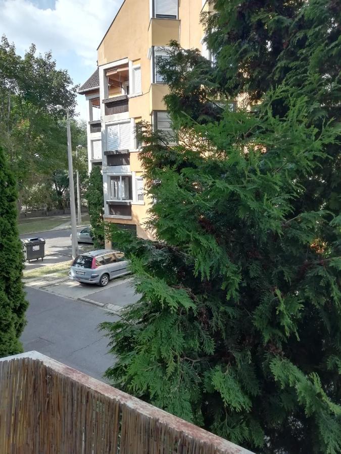 Rokus Apartman Leilighet Szeged Eksteriør bilde